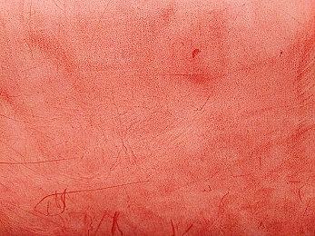 《怪物之森》steam页面上线 村长自由管理奇葩村庄